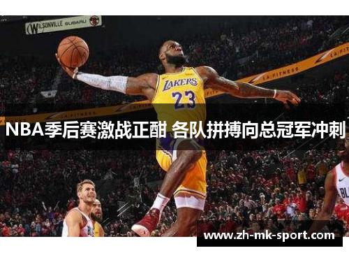 NBA季后赛激战正酣 各队拼搏向总冠军冲刺